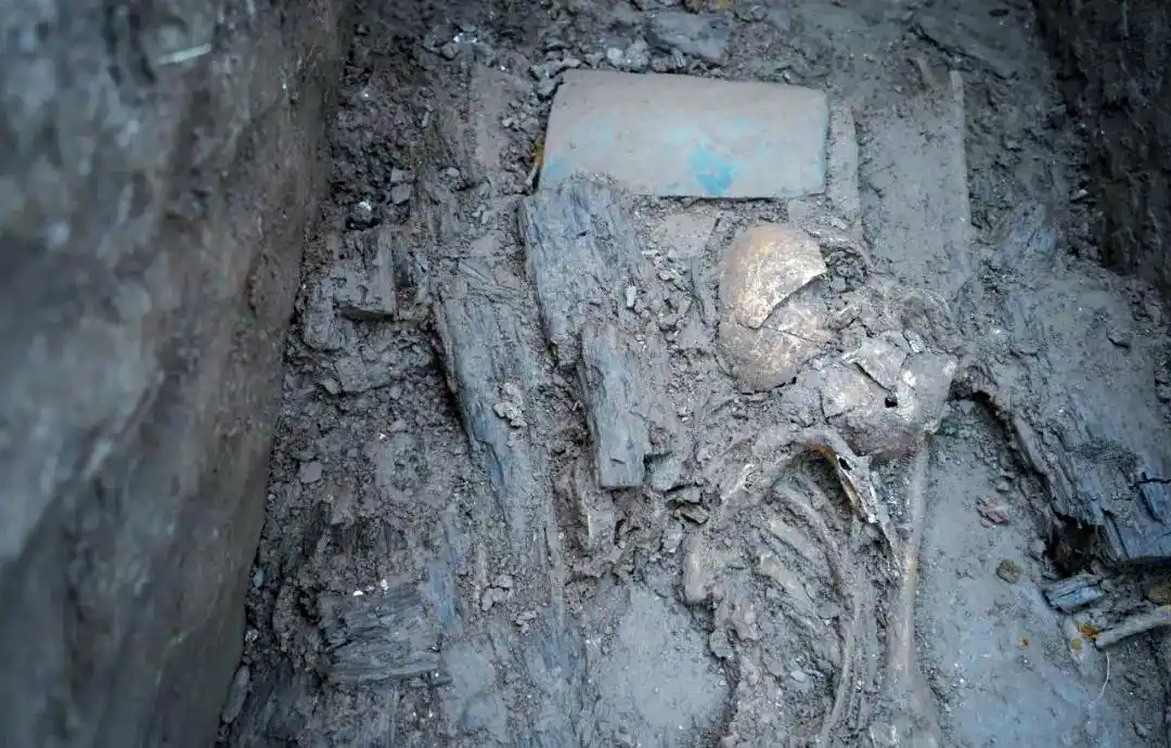 Close view of a skull with timber coffin remains and a green-stained object