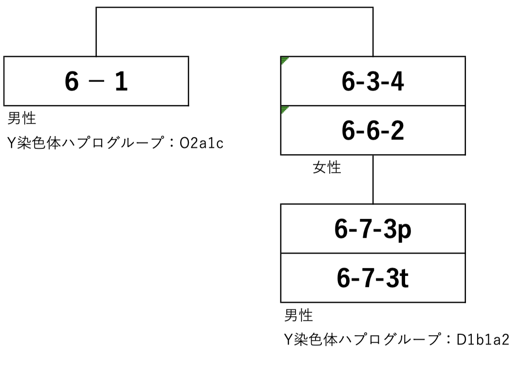 Kinship structure reconstructed for Tomb 6 at the Suwaya Tunnel Tomb Cluster